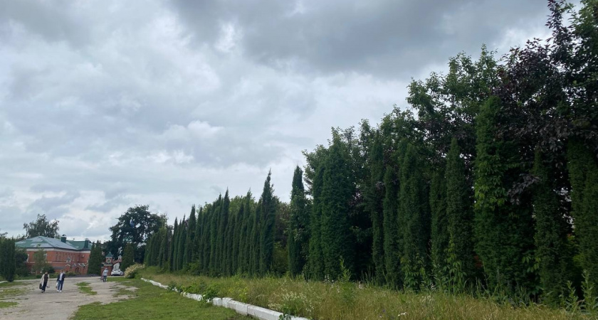 Министерство просвещения одобрило ремонт пяти колледжей в Мордовии