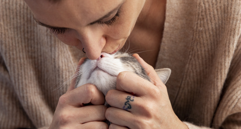 Зоологи объяснили, нравится ли кошке, когда ее целуют