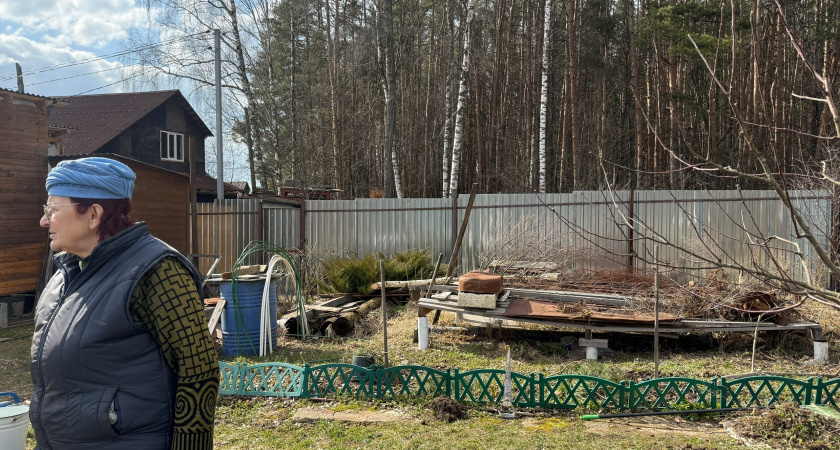 Увидела - и пот холодный прошиб. Если найдёте в огороде это растение, удаляйте немедленно
