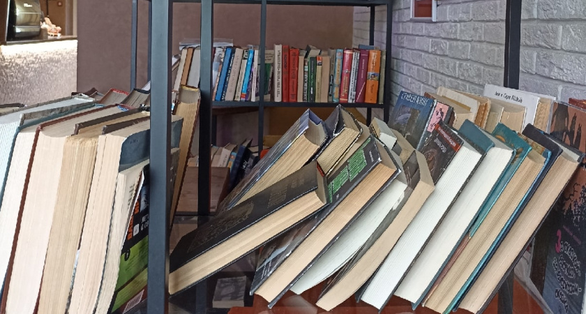 Барашевская сельская библиотека в Теньгушевском районе снова открыта