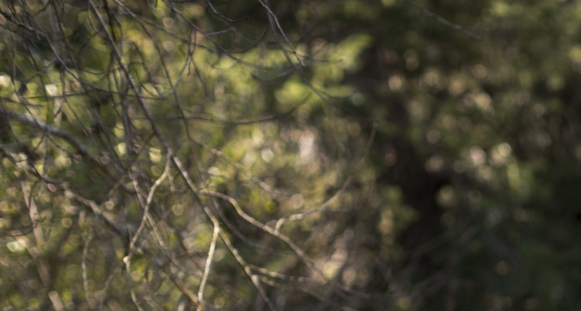 Нужны ли друзья после 50 лет: мудрый ответ Натальи Бехтеревой - полезно знать даже молодым