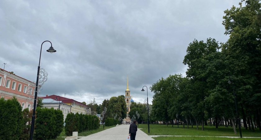 Николай Салтаев возглавил Управление внутренней политики