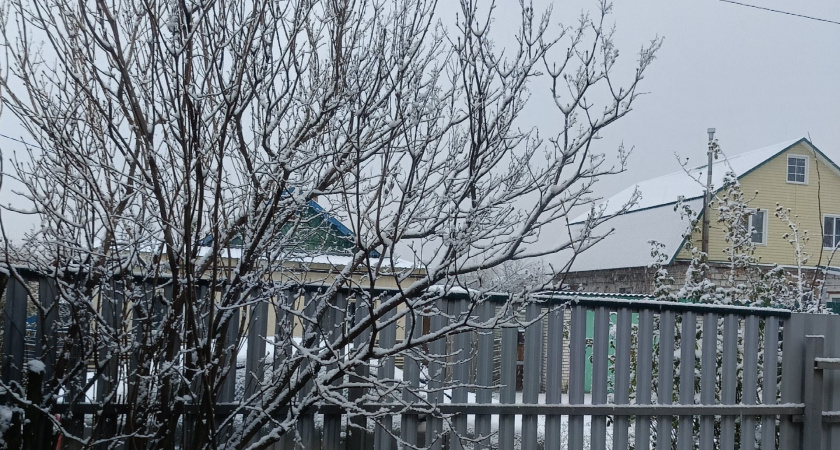 Зима-2026 будет безжалостна: синоптики призвали дачников и пожилых готовиться к худшему - прогноз  
