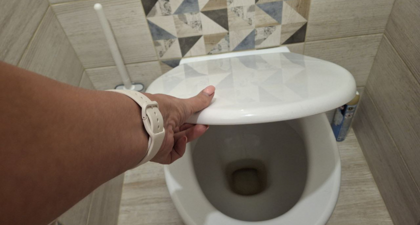 Почему нельзя оставлять открытой крышку унитаза - запомните раз и навсегда