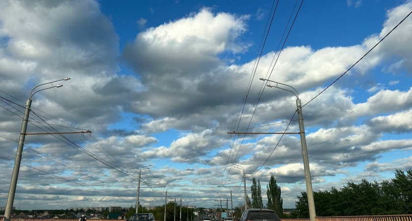 В Мордовии объявили высокую пожарную опасность