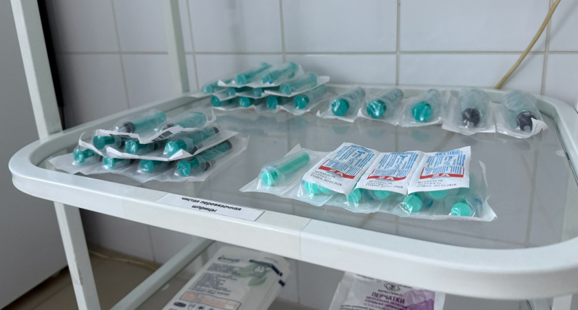 В Мордовии в 2025 году будут вакцинированы более 400 тыс. человек