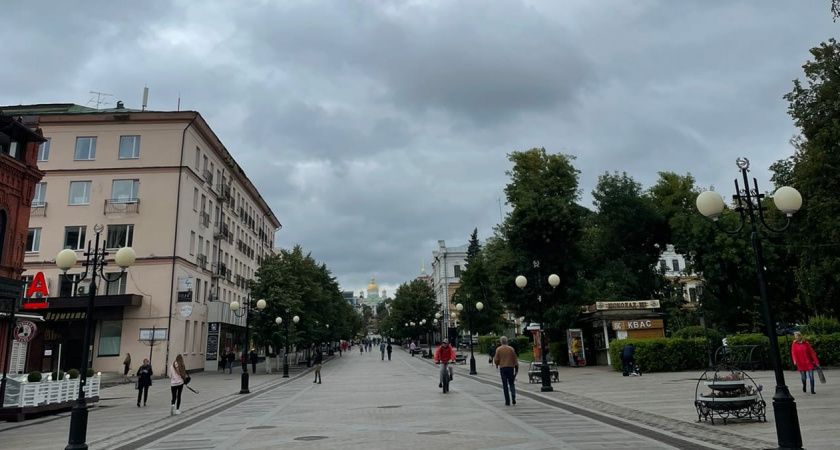 В Мордовии на 12 часов проголосовало 29, 99% избирателей 