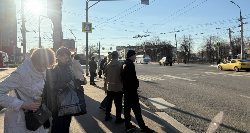 Отряд поисковиков из Мордовии начал экспедицию по местам боев