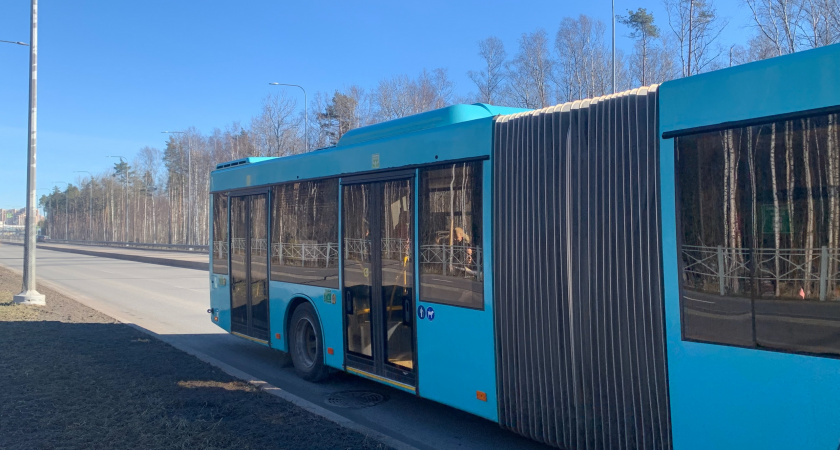 В Марий Эл хотят купить 12 автобусов и 25 троллейбусов