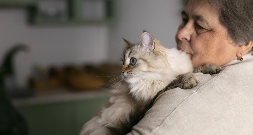 Общение с кошками может быть опасно для пожилых
