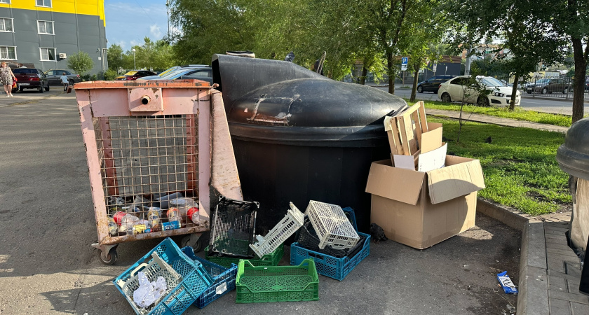 В Мордовии выявлено 24 несанкционированные свалки, работа по их ликвидации продолжается