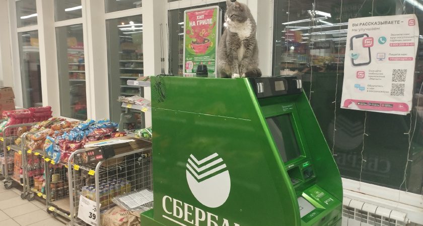 Раскрыта опасность банкоматов в супермаркетах
