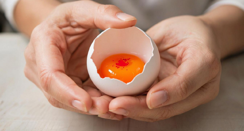Опасны ли яйца со сгустком крови в желтке