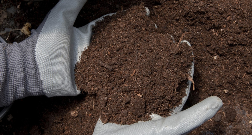 Названо удобрение, которое сделает почву жирнее и плодороднее