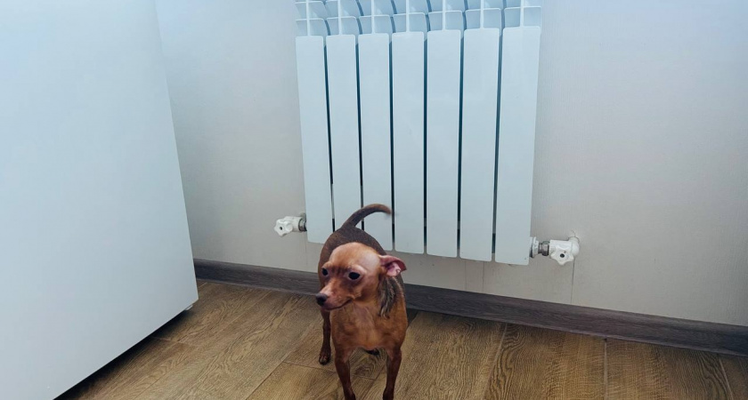 В Ромодановском районе стартовал отопительный сезон