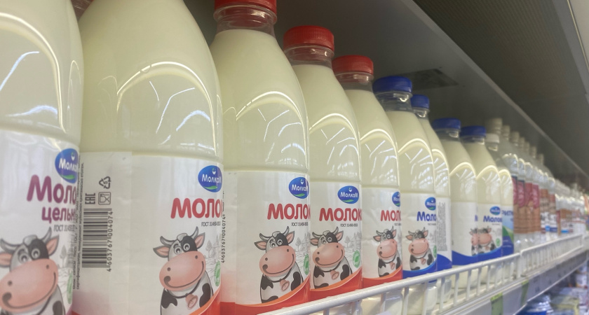 В Саранске стартовала реализация проекта «Органика детям»