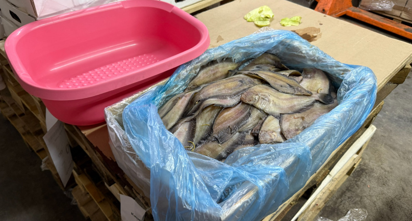 Химик производства показал, как он убирает из магазинной рыбы и мяса химию: теперь тоже так делаю дома