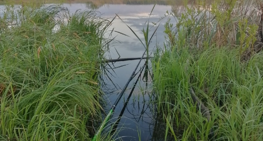 Рыбаки Мордовии масштабно закрыли летний сезон фестивалем на Каменском пруду