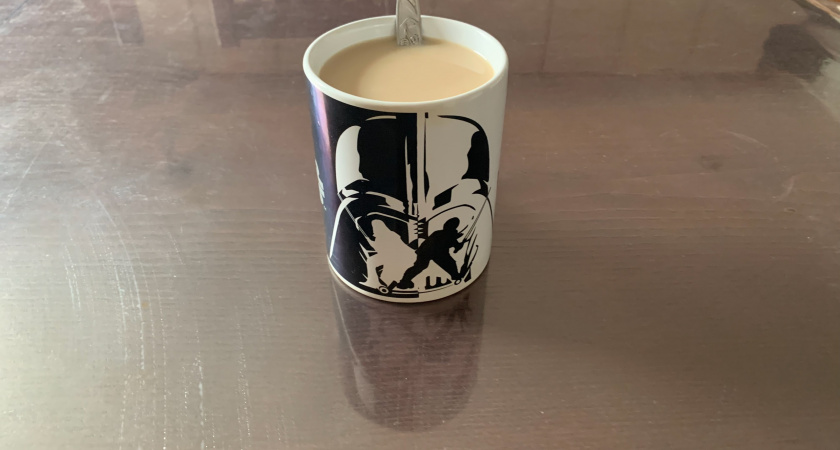 В Мордовии стартовал проект “Органика детям”: в детсады будет поставляться органическое молоко