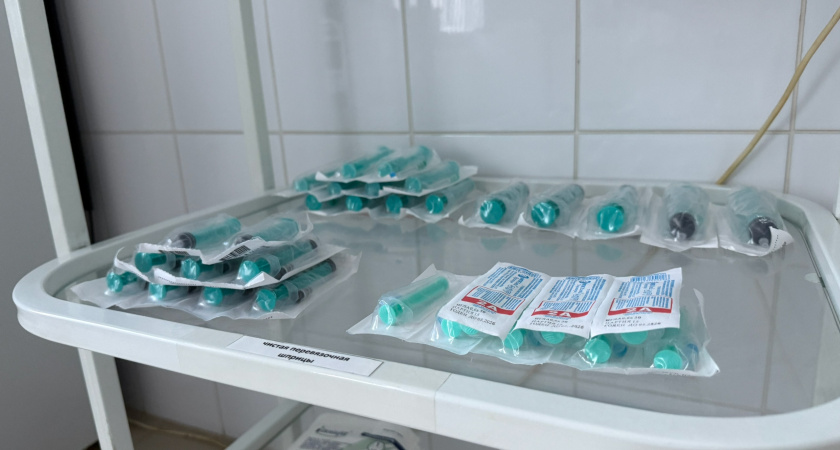 В Мордовии вакцинацию от гриппа прошли более 206 тысяч человек