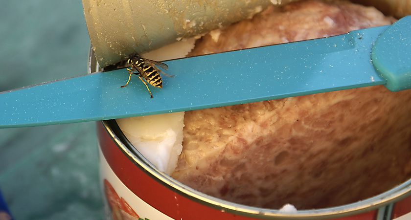 Почему надо обходить стороной продукты со скрытым гидрогенизированным жиром