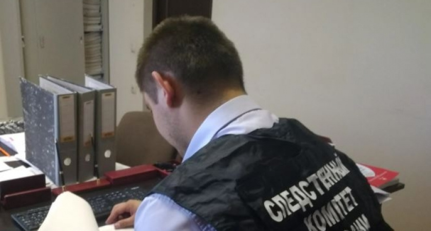 В Мордовии погиб пятилетний ребенок, застряв головой в окне автомобиля