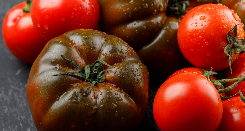 Дачница назвала сорта томатов, от которых отказалась