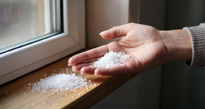Всю осень посыпаю подоконники солью: нарадоваться не могу своей находке, ведь давняя проблема теперь решена на год вперед