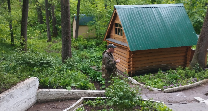 Мордовский заповедник готовится принять десять новых зубров