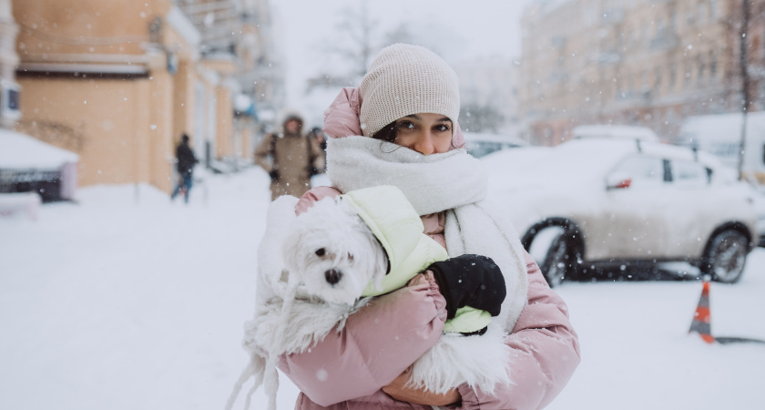 Предстоящая зима будет пытать россиян вовсе не морозами: синоптики предупредили об аномалиях с декабря по март