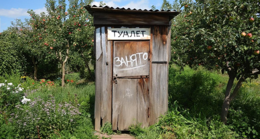 "Доместос" не спас от вони в дачном туалете: вот как убираю амбре за сутки - ведерко порошка прямо в яму и о проблеме забыли