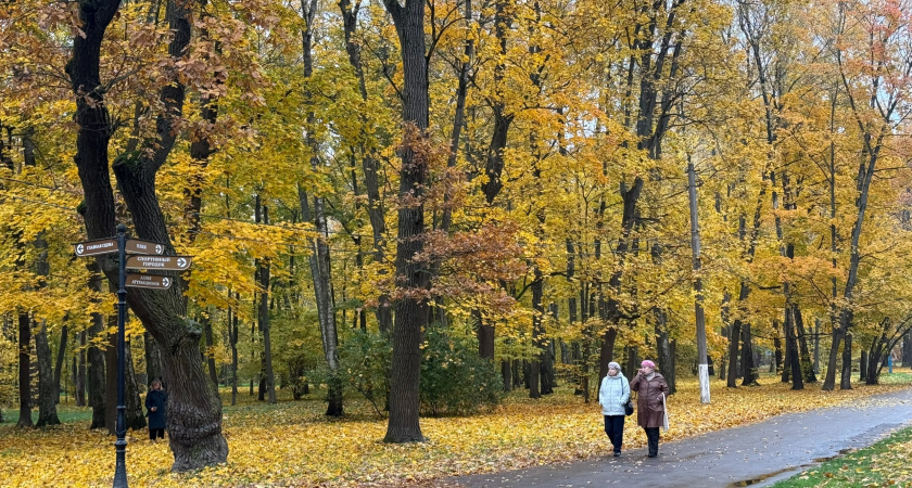 Парк в Кадошкино полностью благоустроен в рамках нацпроекта “Инфраструктура для жизни”