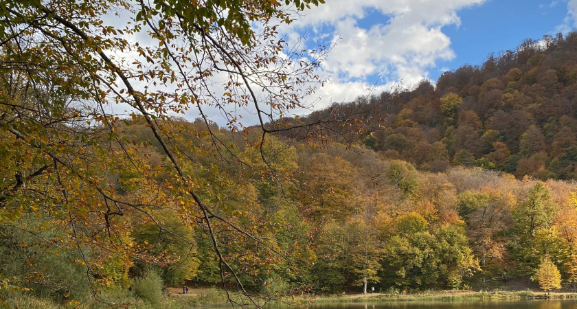 В Мордовии с 14 по 17 октября ожидается высокая и чрезвычайная пожароопасность лесов