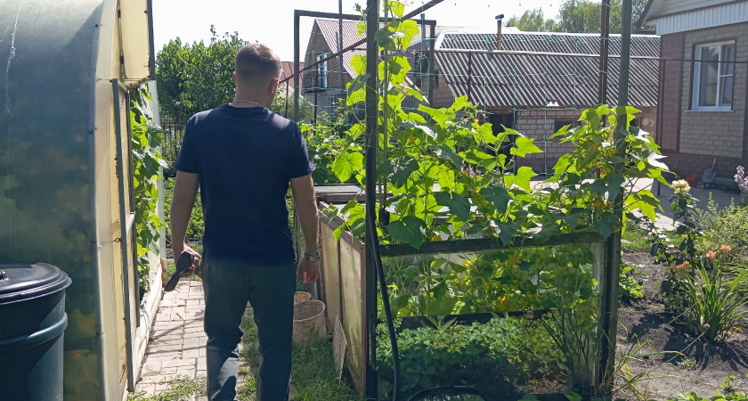 10 лет на земле: как мы сбежали из города в деревню - на чем зарабатываем и что поняли за это время