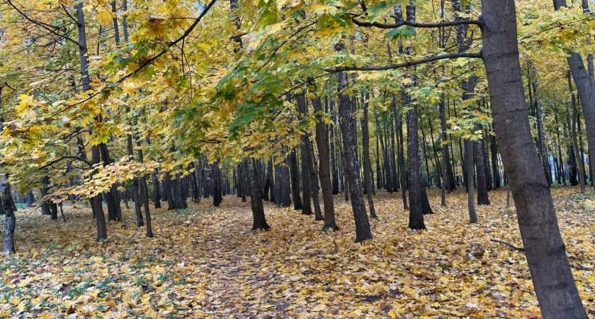 Для воспитания детей в Больших Березниках установили полосу препятствий