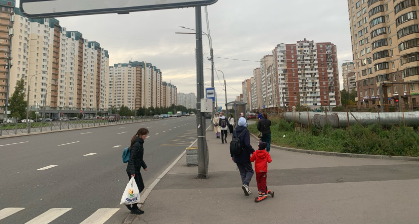 Шага на "зебру" мало: вот когда водитель обязан уступить дорогу пешеходу - разъяснил Верховный суд