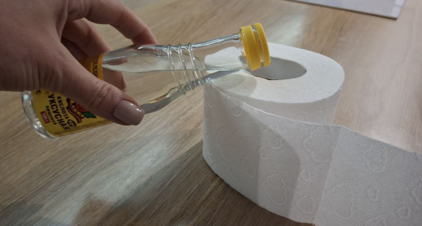 Для чего заливать уксус в рулон туалетной бумаги? Советы опытных хозяек