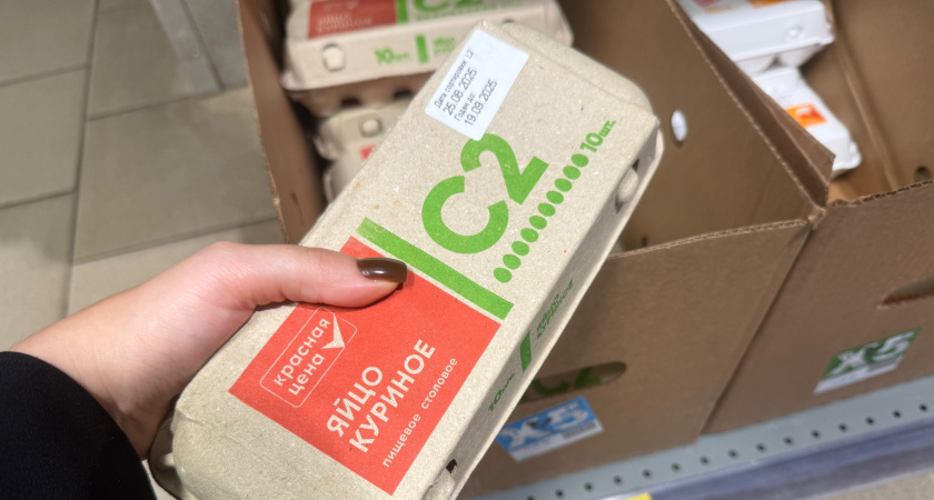 Можно ли есть продукты с истекшим сроком годности: и почему мы всю жизнь отправляли их в мусорку 