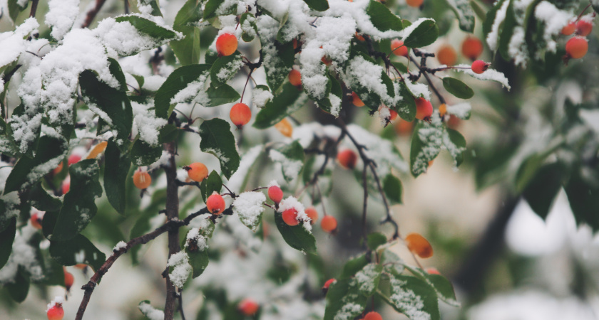 Снег пойдет уже в октябре: Вильфанд предсказал самый холодный день в России
