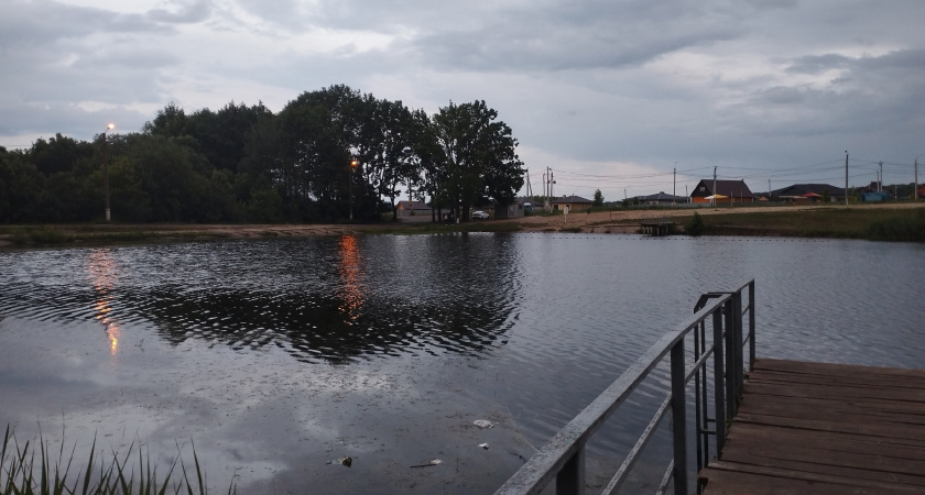 В Мордовии более 2 тысяч мальков карпа выпустили в пруд Серебрянка