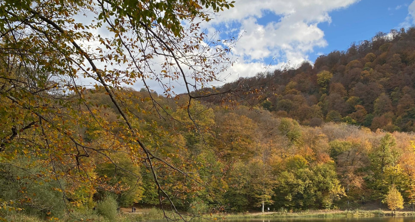 Вегетационный период Мордовии закончился позже обычного