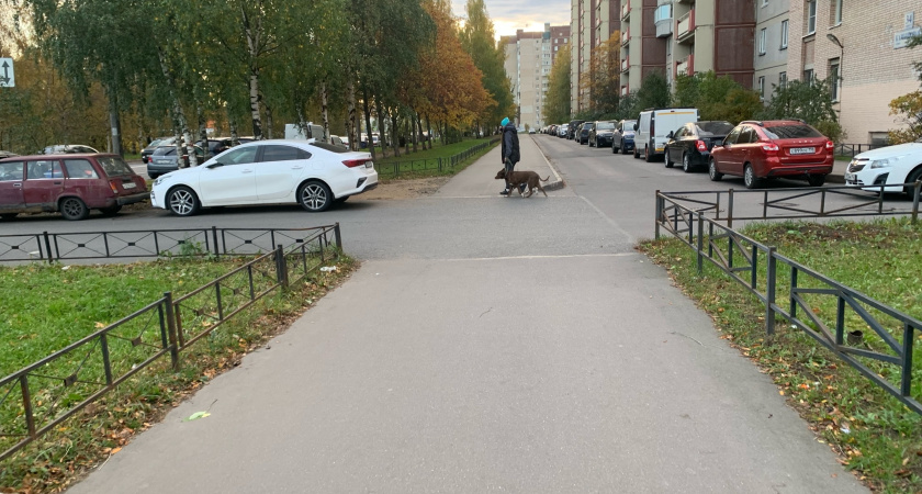 Лукашенко сообщил, что Мордовии и Беларуси нужны прорывные проекты