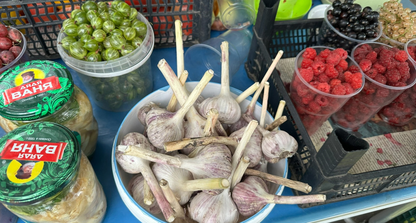 В Саранске состоится продовольственная ярмарка