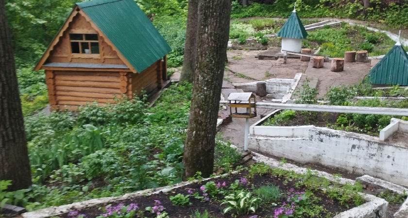 В Мордовский заповедник привезли шестерых зубров