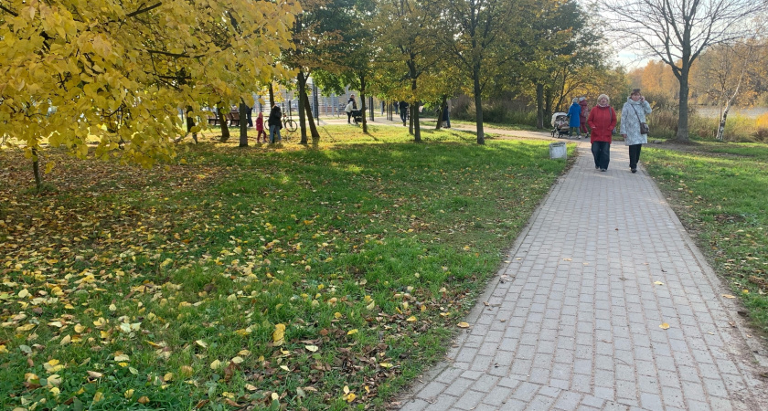 В Старом Шайгове оборудовали спортплощадку: уложили асфальт и установили оборудование для скейт-парка