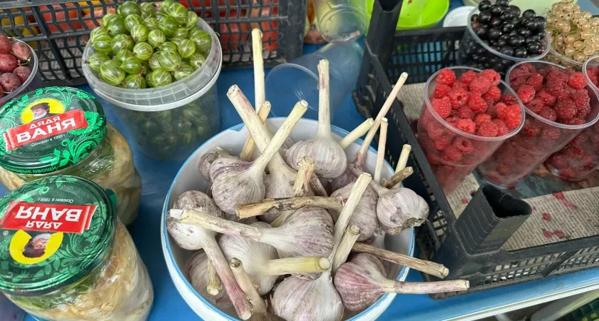 В Рузаевке 26 октября пройдет большая продовольственная ярмарка