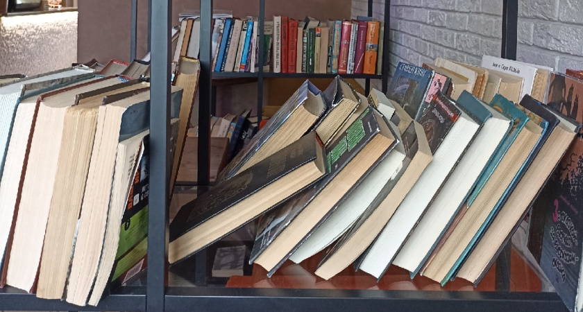 Две библиотеки Мордовии получат почти 3 млн рублей на ремонт, новое оборудование и книги