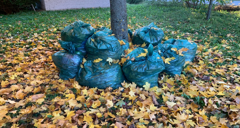 В Темниковском районе убрали две незаконные свалки