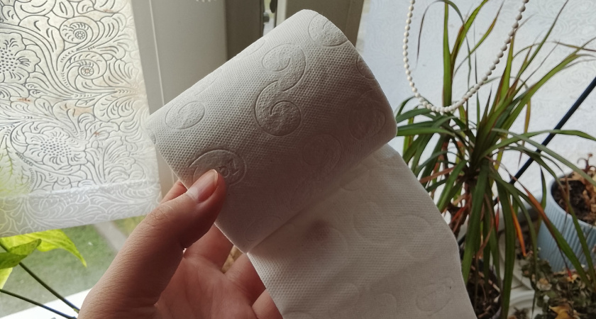 Нежная как весеннее облачко, чистая как душа младенца: в Роскачестве назвали 2 лучших бренда туалетной бумаги - теперь берем только их