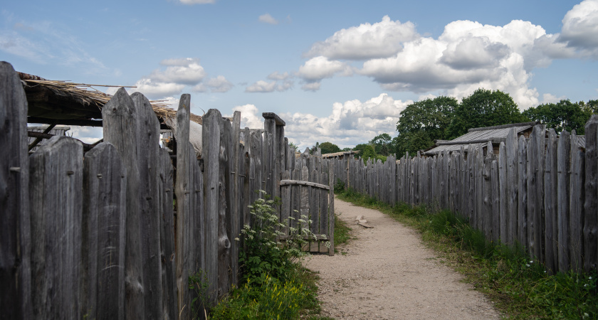 Узнал про уловки наших предков, которые ставили заборы на 100 лет. Делюсь секретом с вами